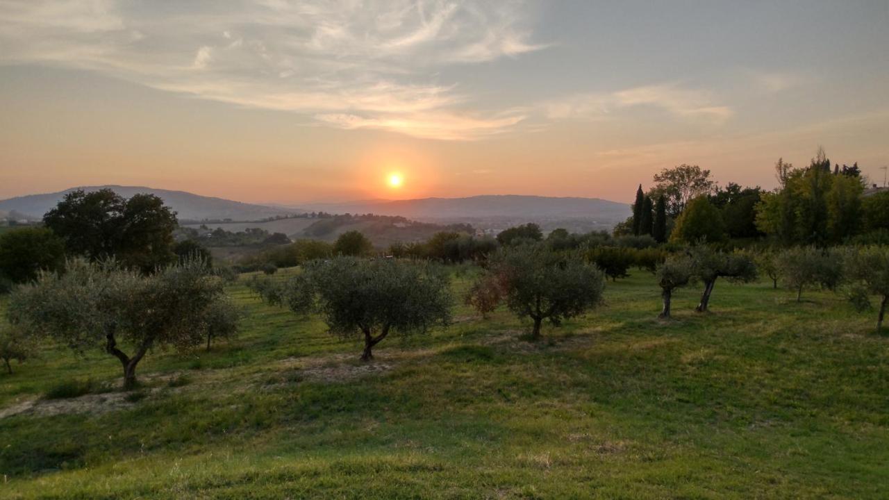 La Maggiolina Country House Montelabbate Buitenkant foto